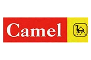 Camel