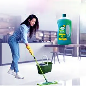 Floor Cleaners